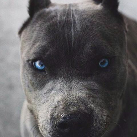 Денис Попов